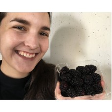 SPRAY FREE BLACKBERRIES 200 Gram Punnet Katikati Grown